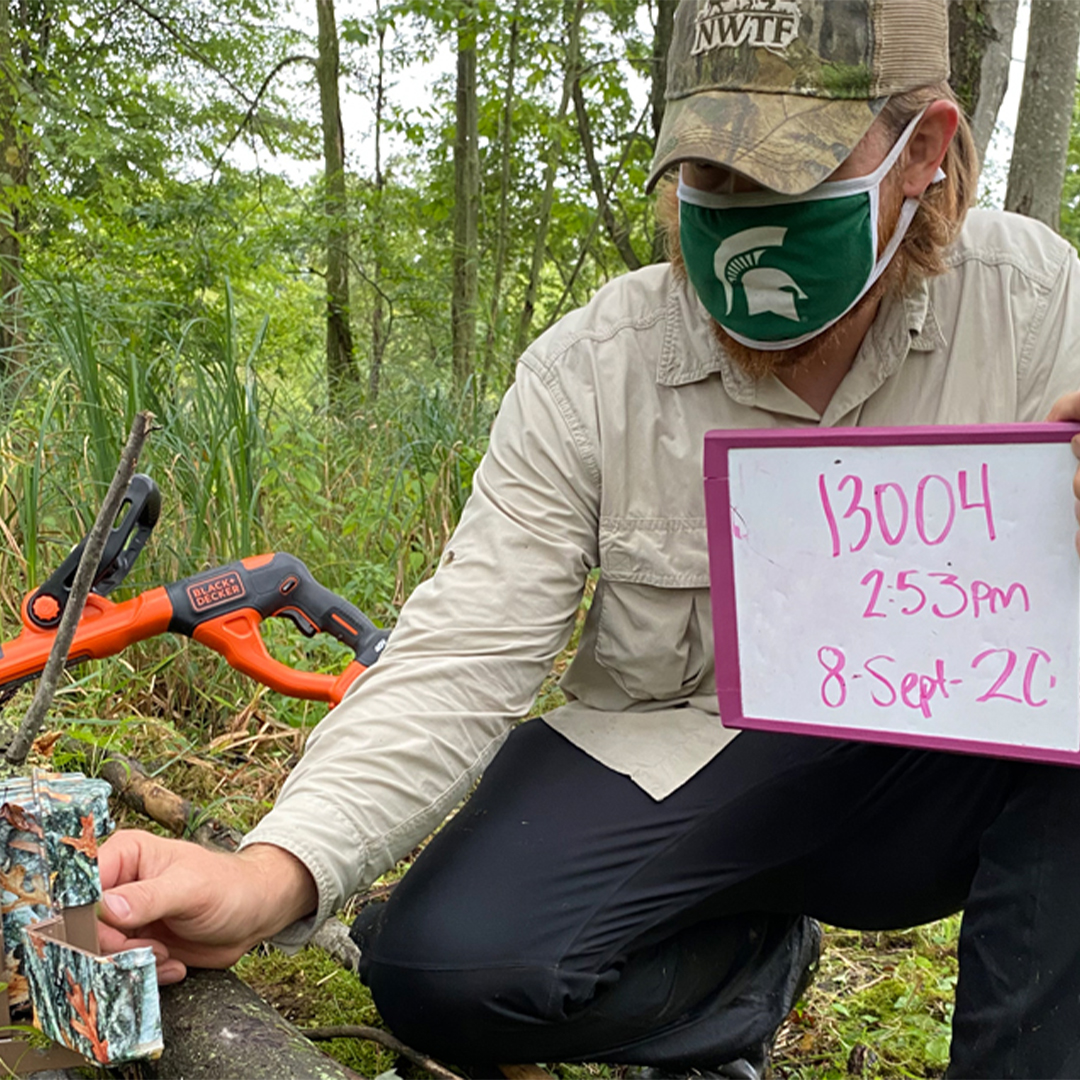 Michigan State research