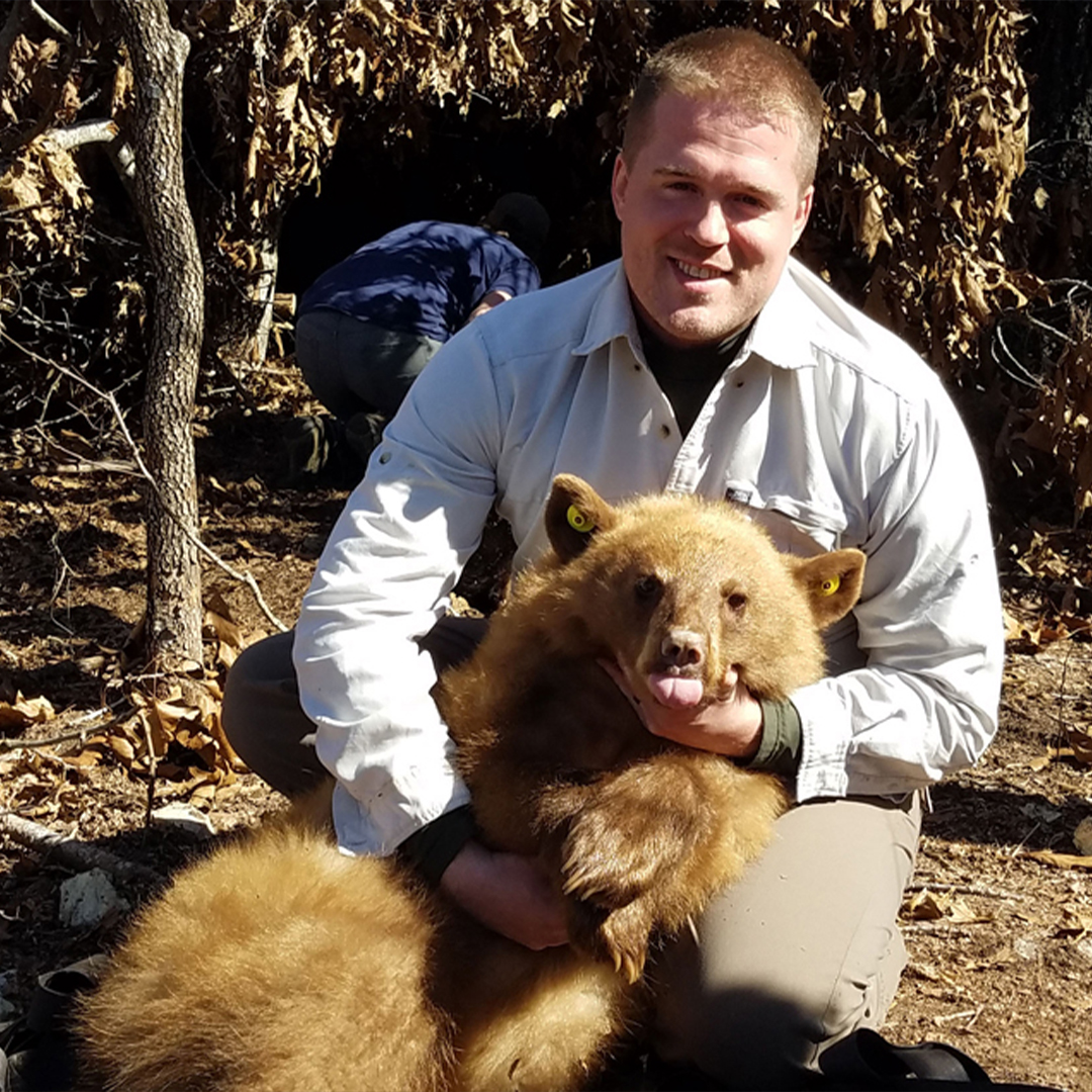 University of Montana Fellow with bear cub