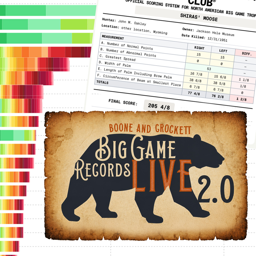 Big Game Records Live 2.0
