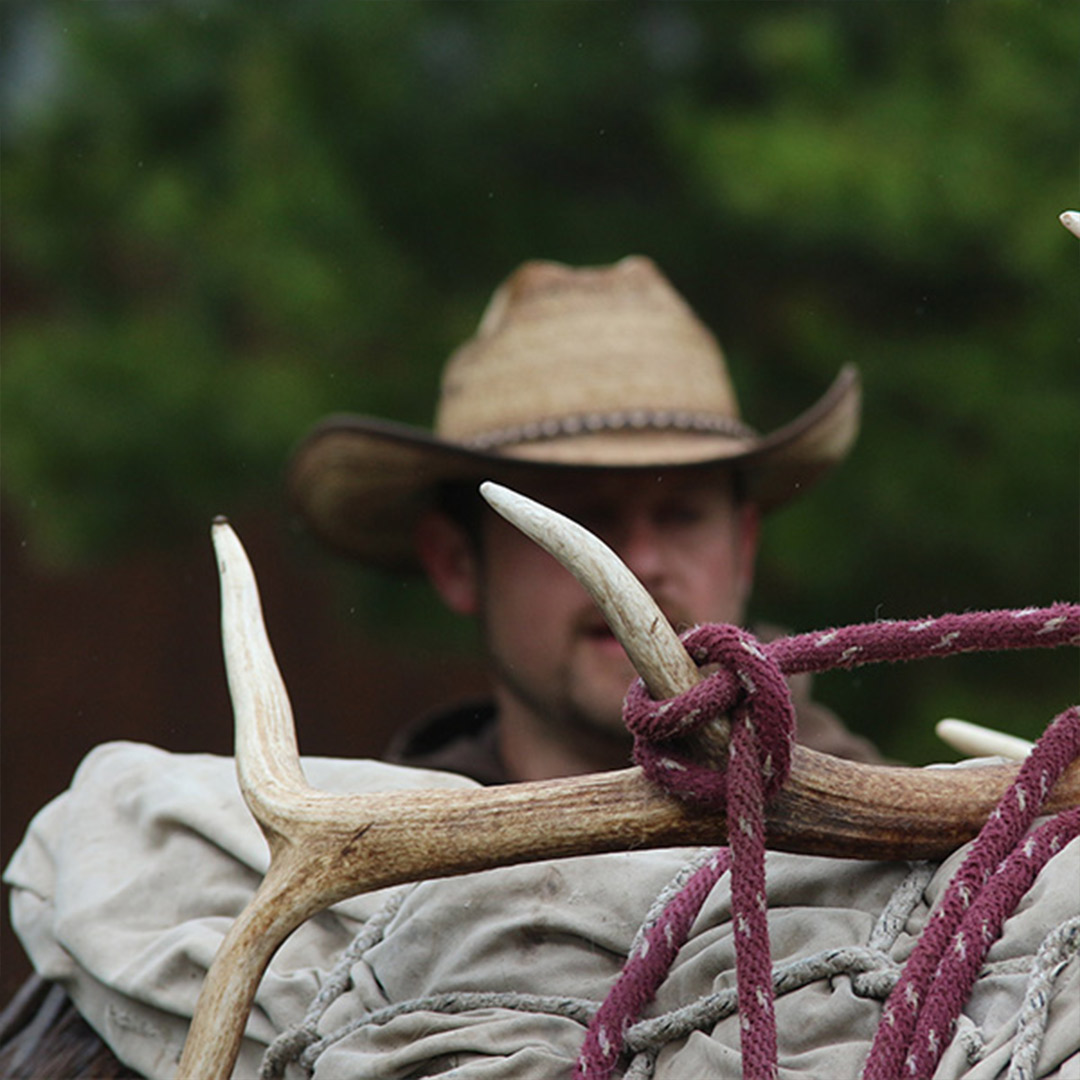 shed hunter strapping antlers