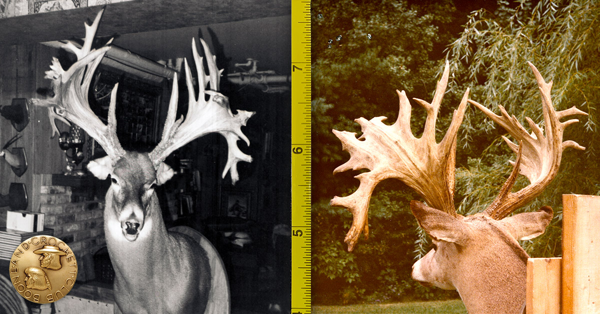 two vintage whitetail photos