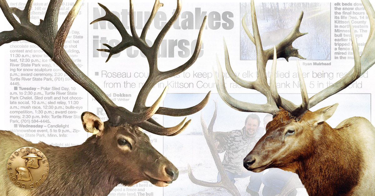two elk graphic