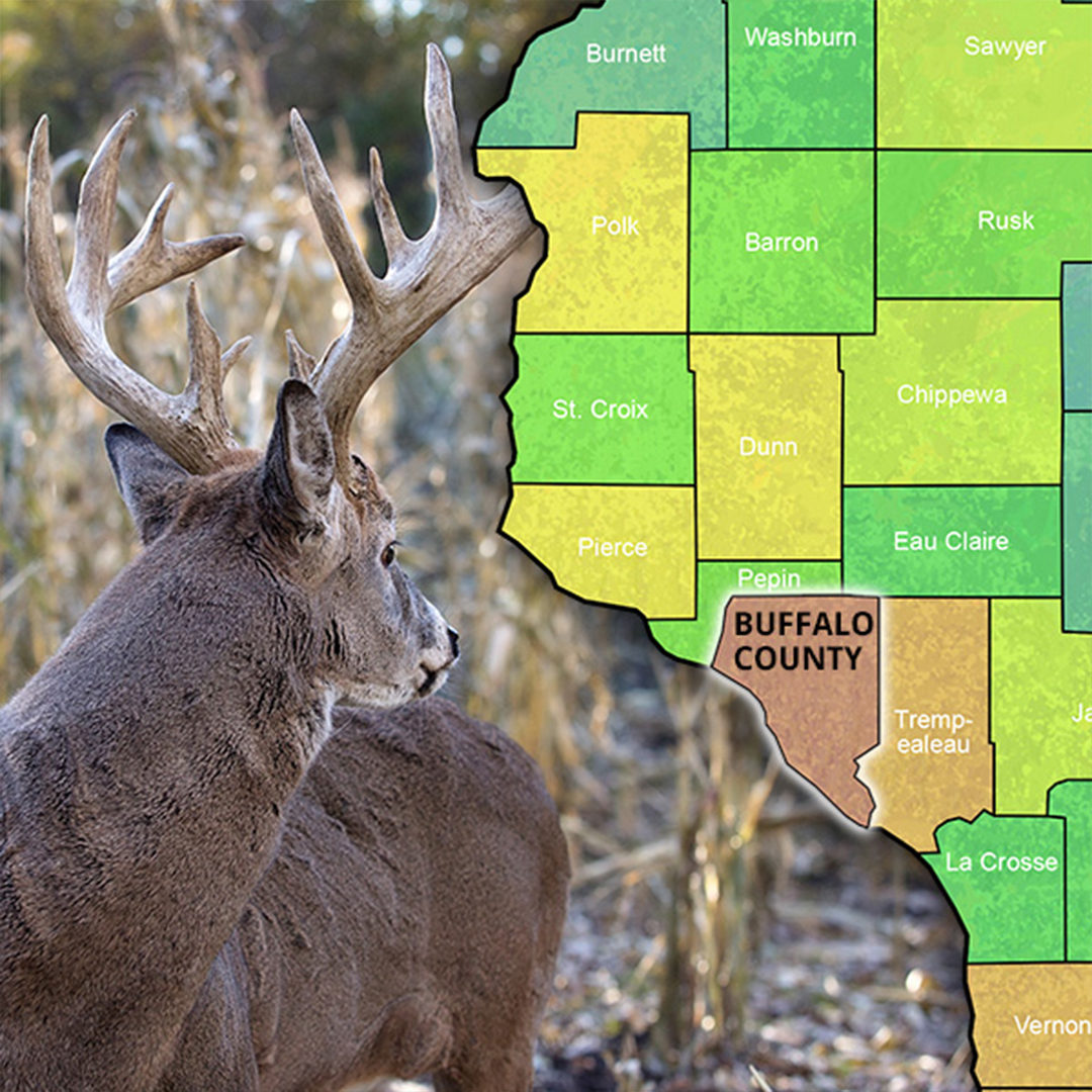 whitetail deer graphic with map