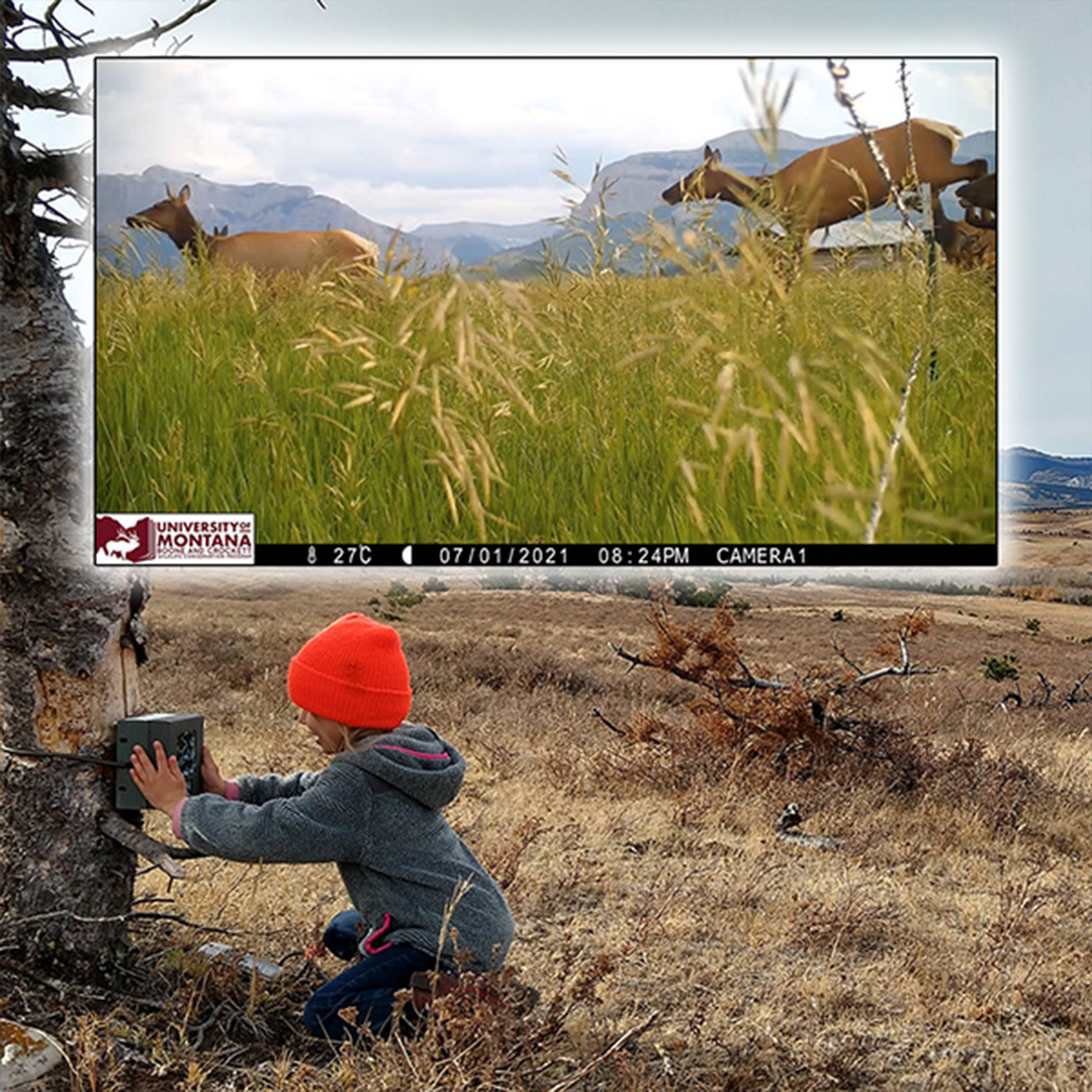 setting up trail cam