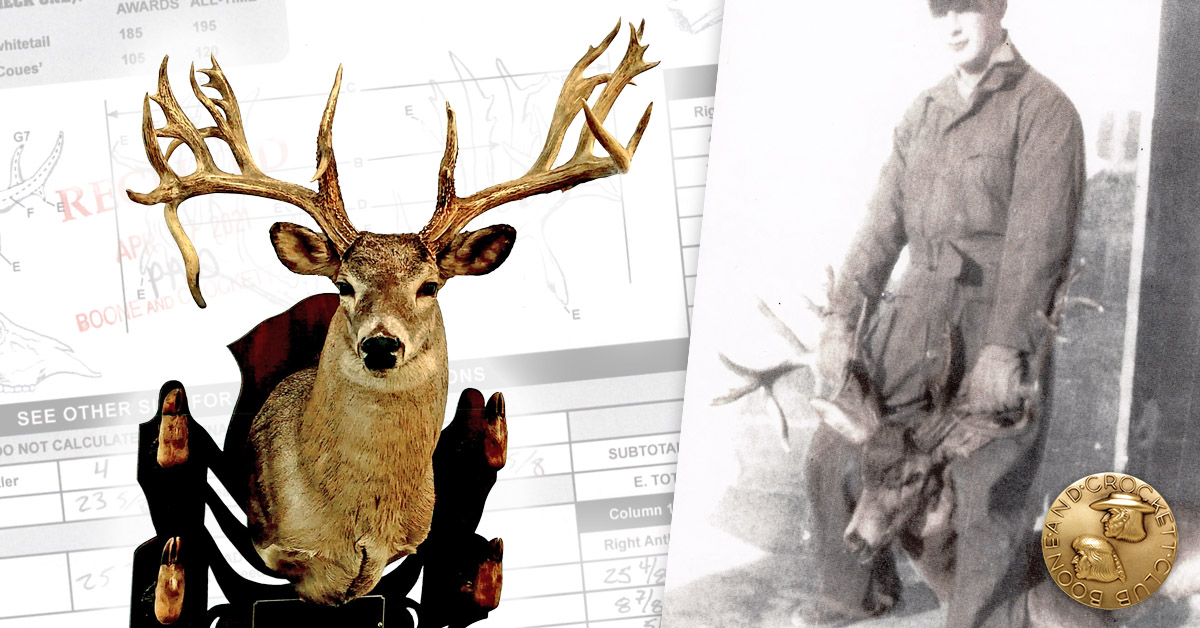 whitetail deer trophy