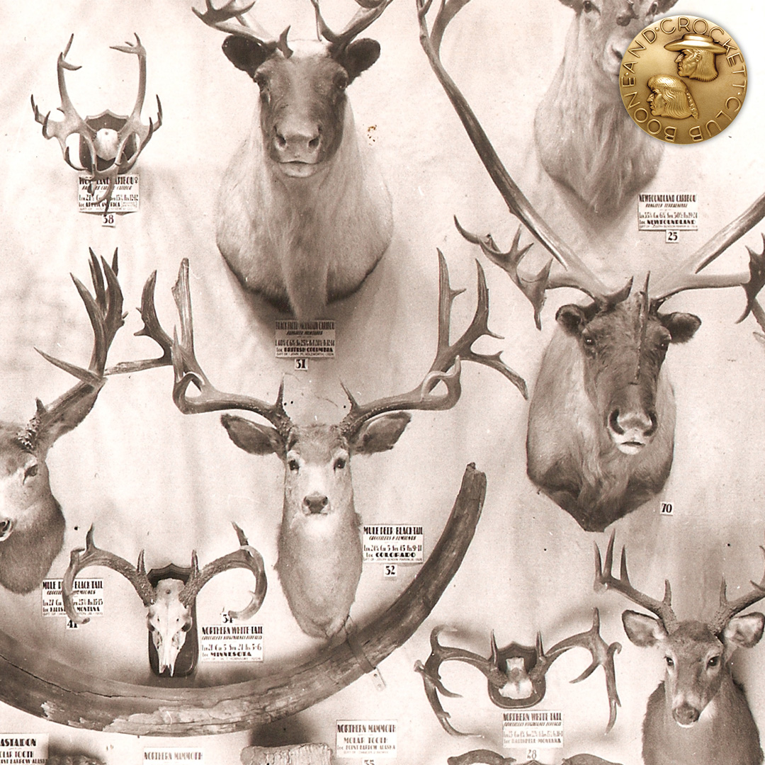 vintage hunting collection
