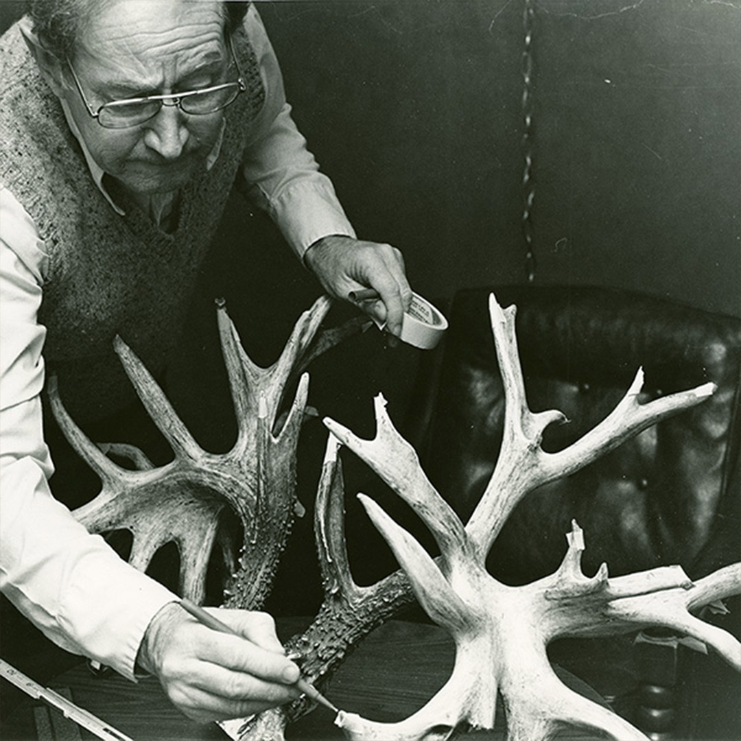 vintage antler scoring photo