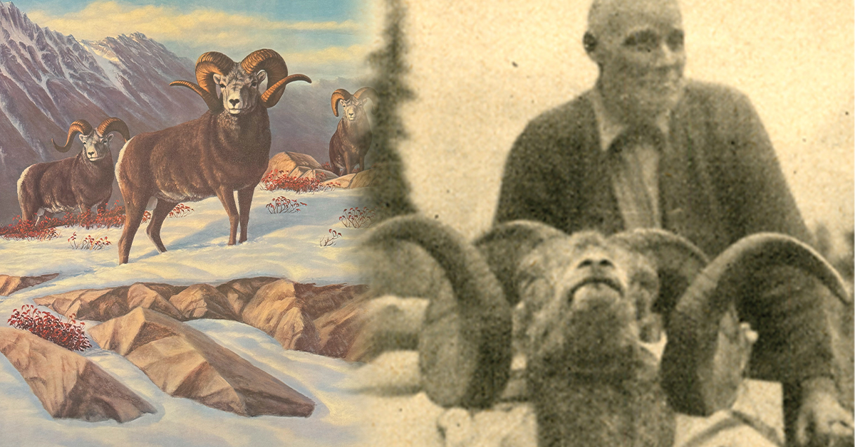 poster and field photo of chadwick ram