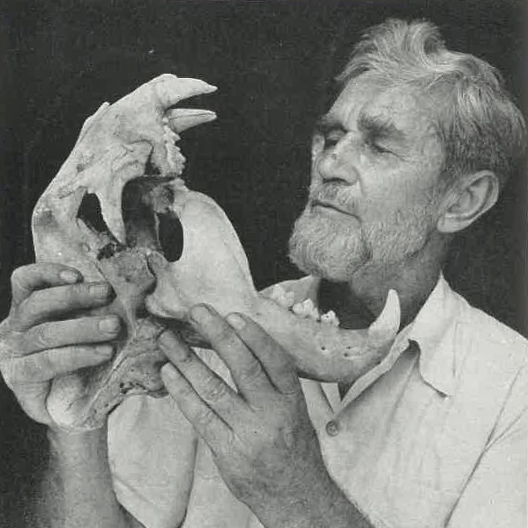 Sasha holding skull