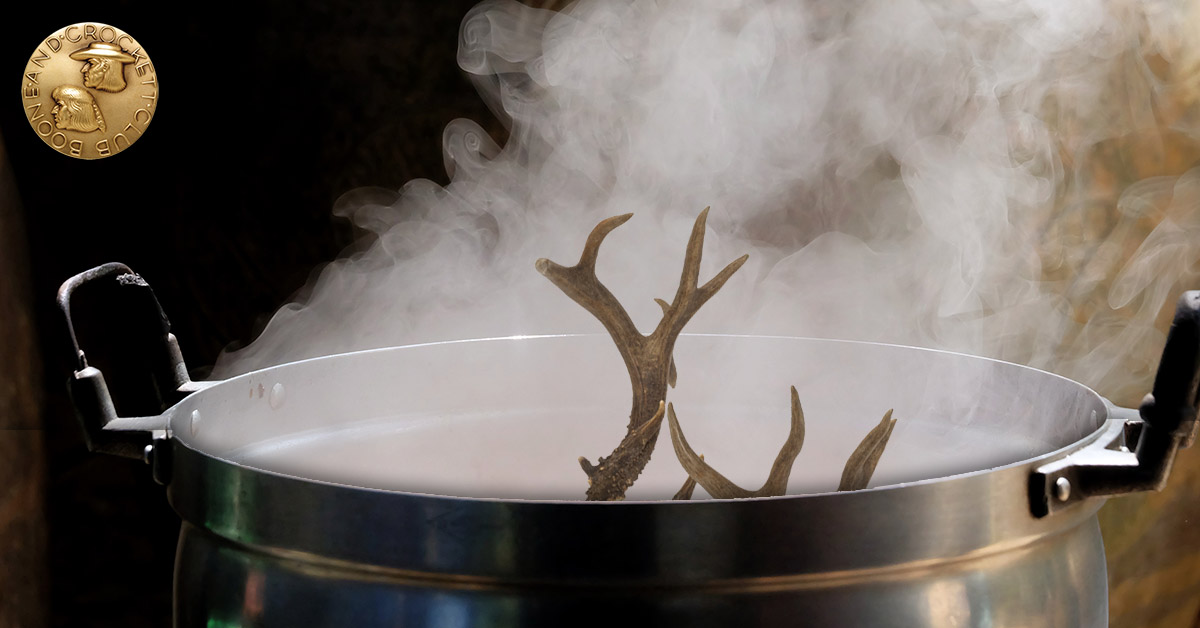 antlers in a pot