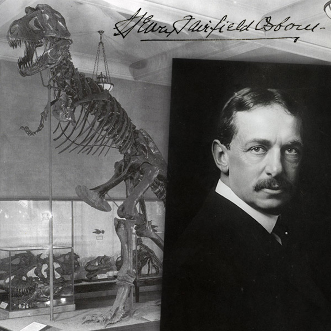 Henry Fairfield Osborn