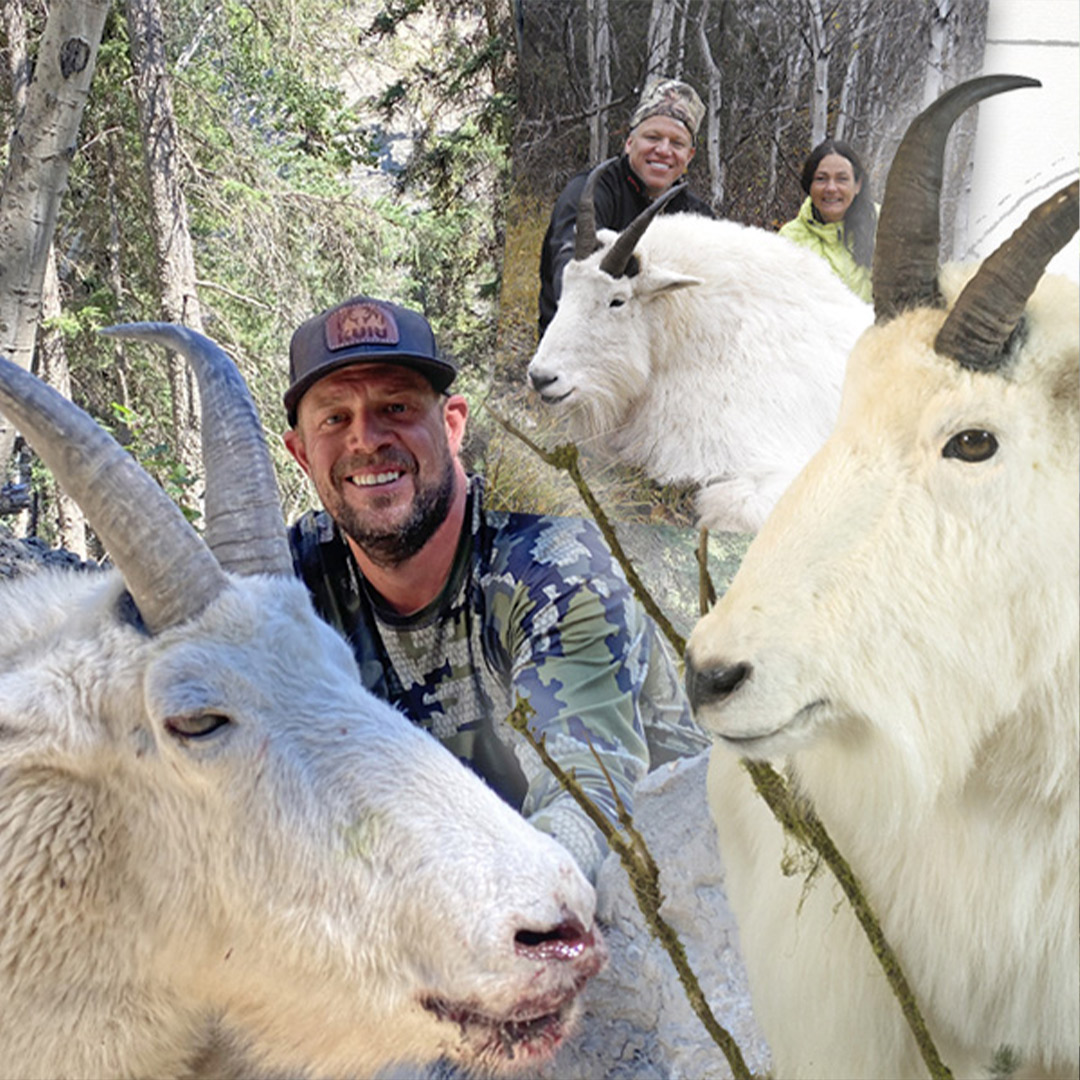 rocky mountain goat hunting collage