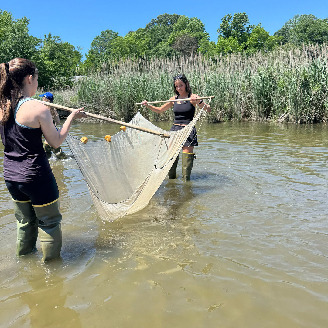 Demmer scholars working in the field