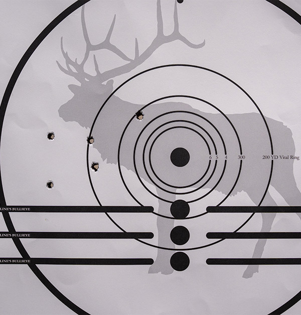 shooting target