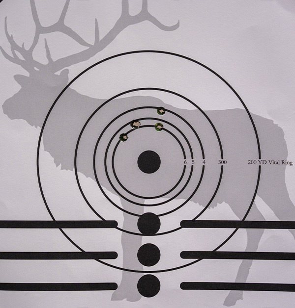 shooting target