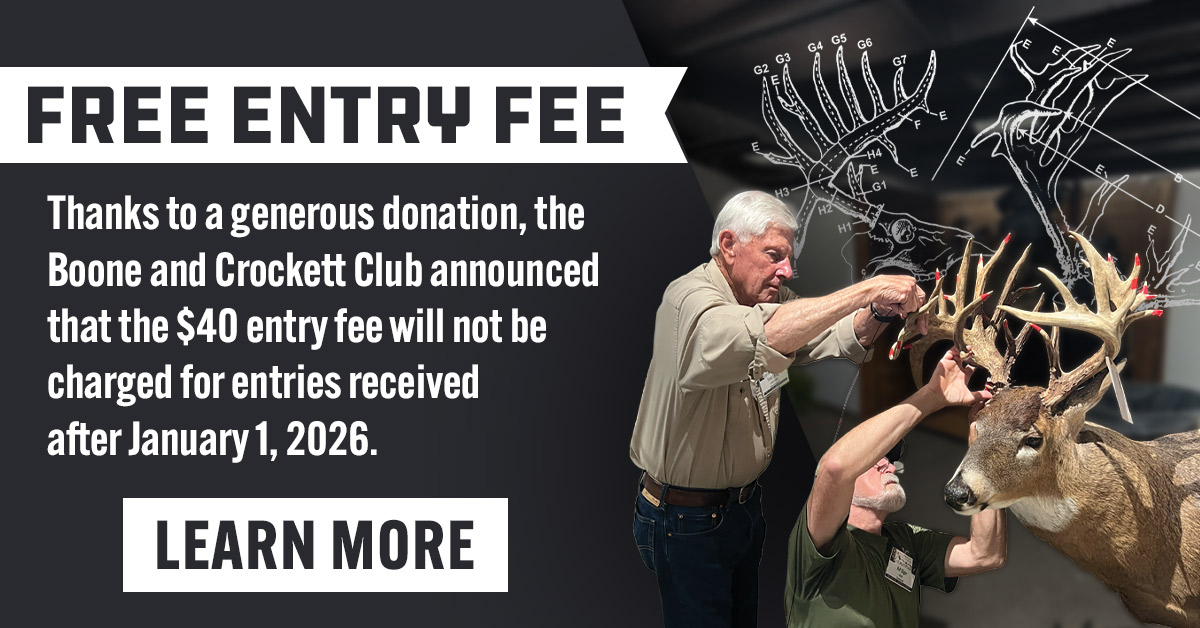 free entry fee ad