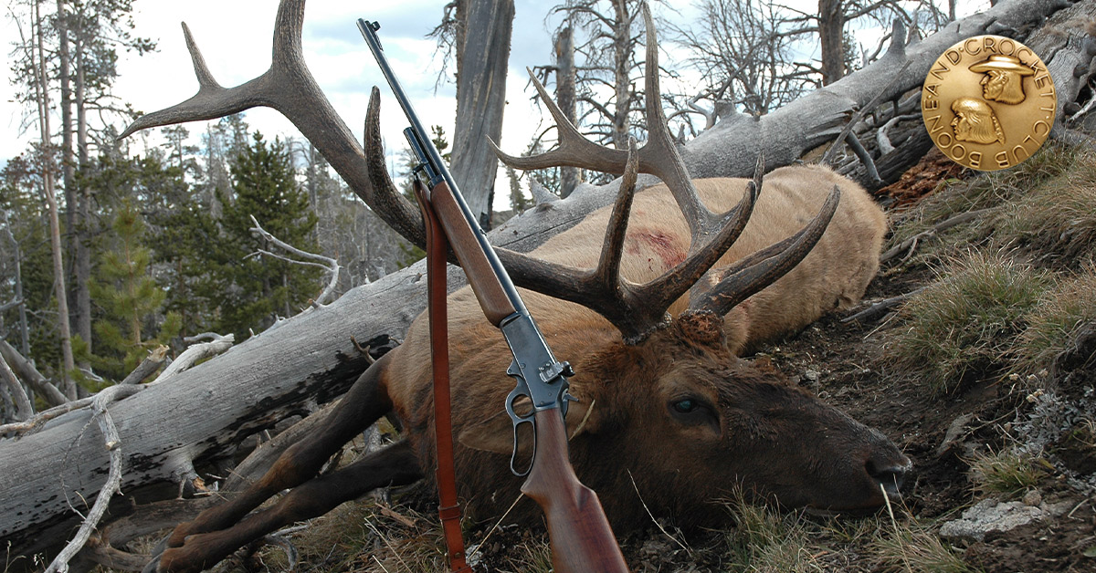 elk harvested with vintage rifle