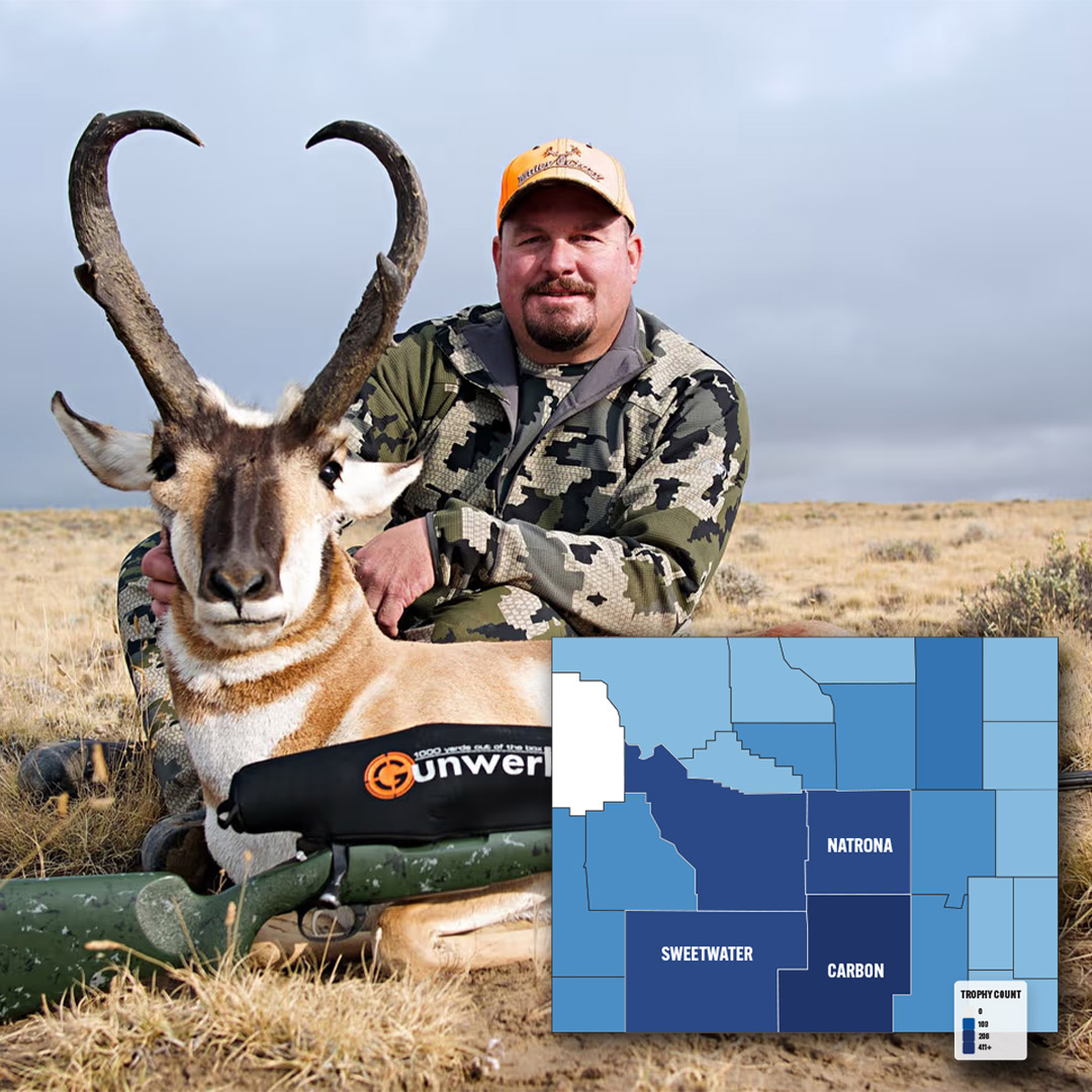 pronghorn trophy and map