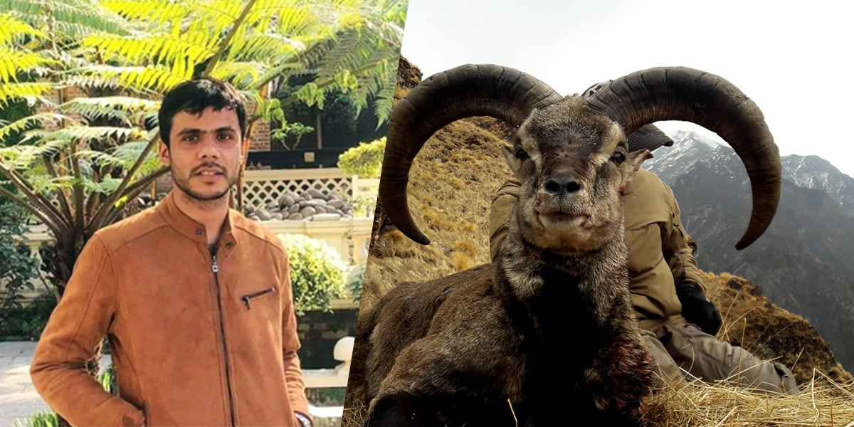 Dayaram Pandey with blue sheep