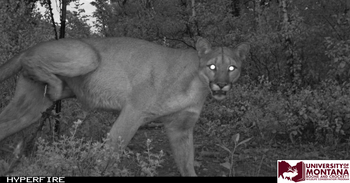 Caught on camera 