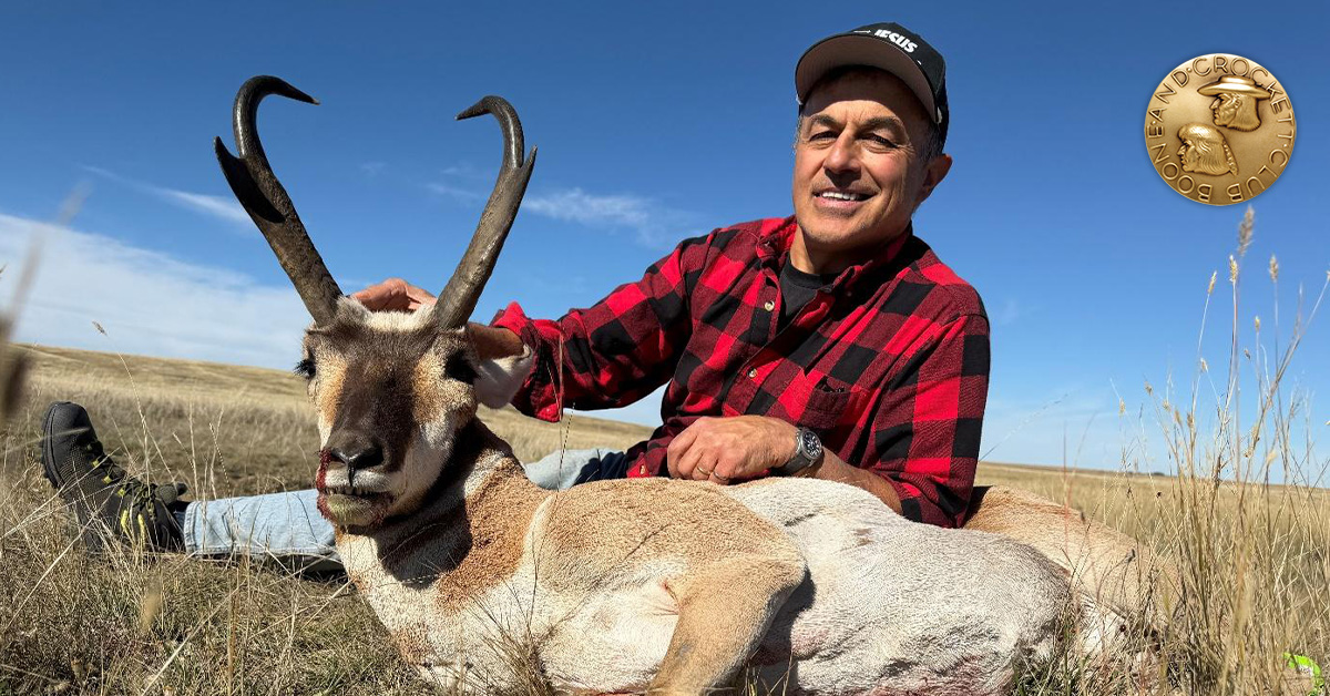 Shariff Pronghorn