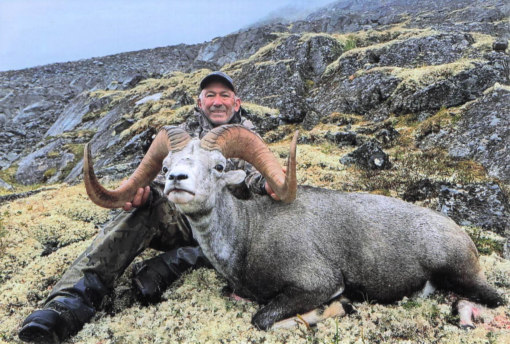 STONE'S SHEEP