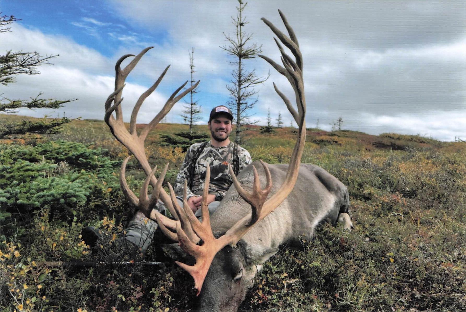 BARREN GROUND CARIBOU