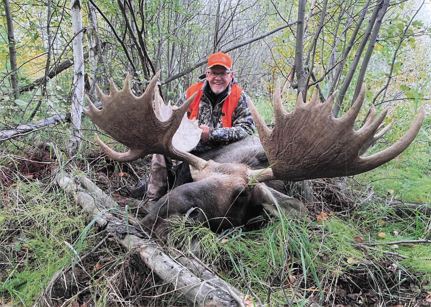 CANADA MOOSE