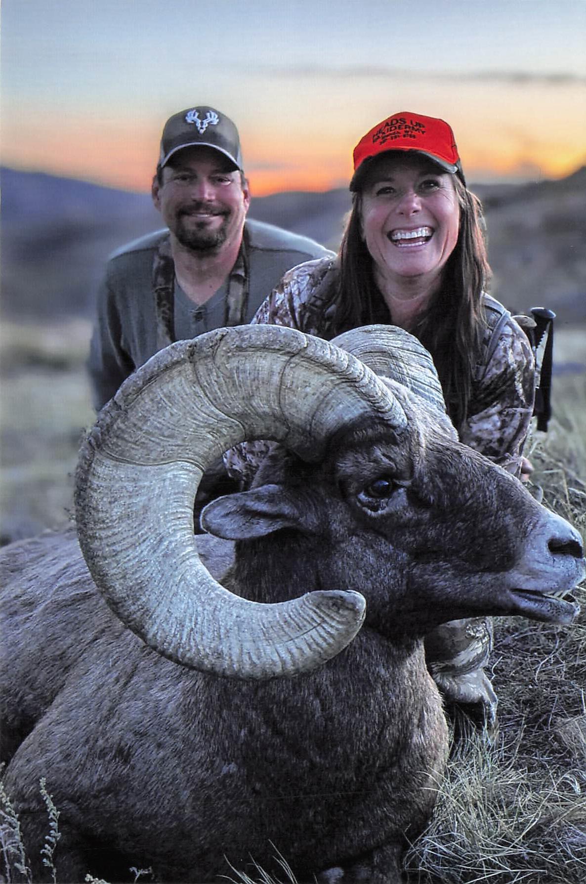 BIGHORN SHEEP