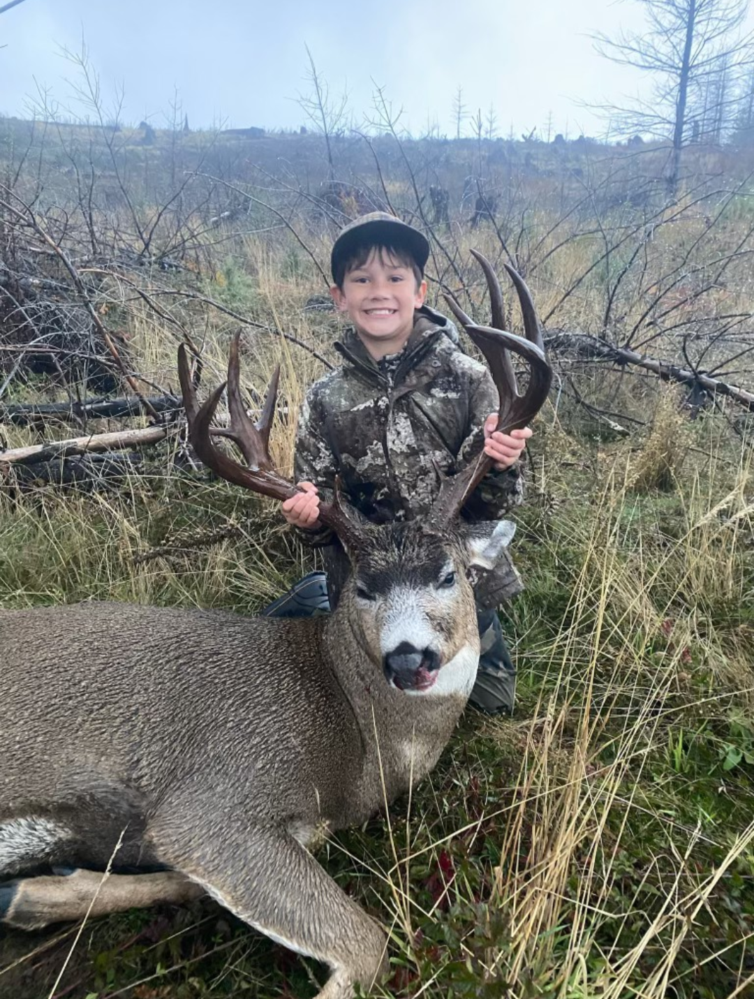 TYPICAL COLUMBIA BLACKTAIL DEER