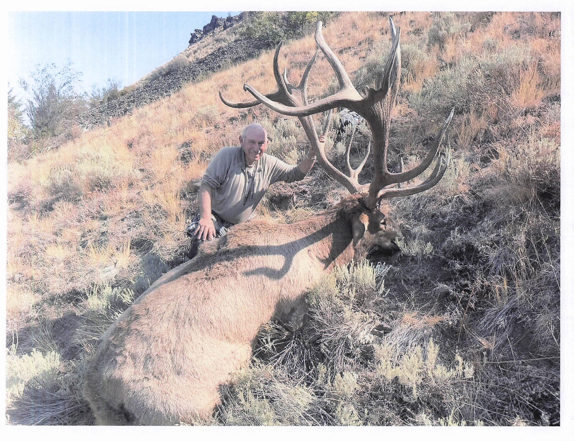 NON-TYPICAL AMERICAN ELK