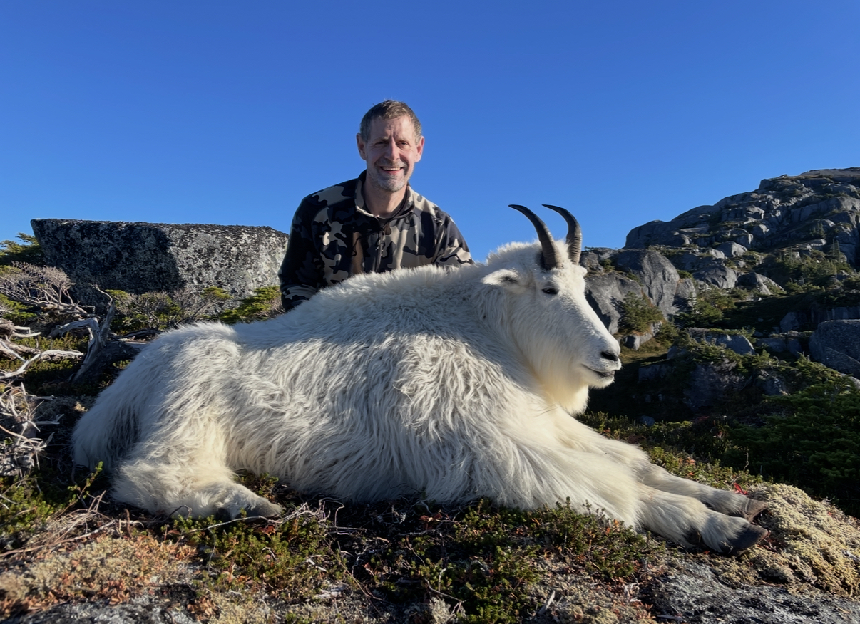 ROCKY MOUNTAIN GOAT