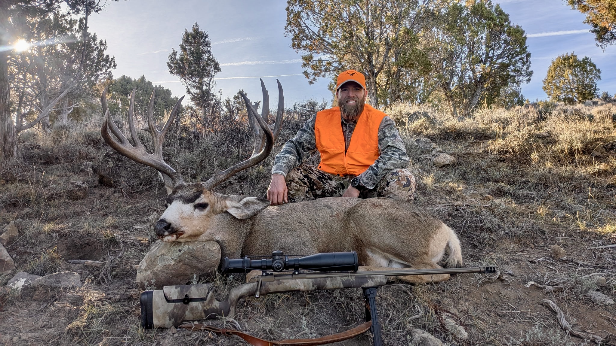 NON-TYPICAL MULE DEER