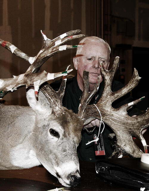 Tips on Measuring a Whitetail Deer 