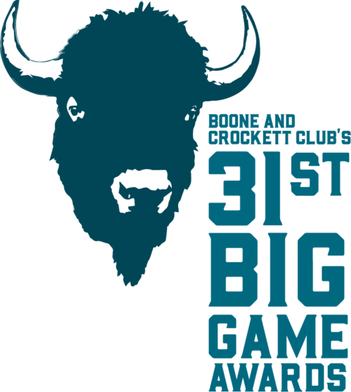 31st big game awards logo