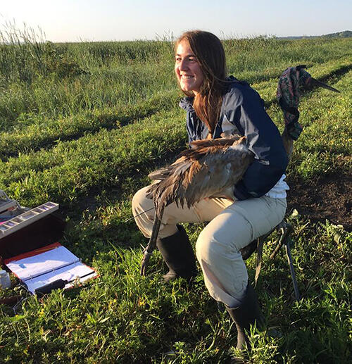 University of Wisconsin fellow