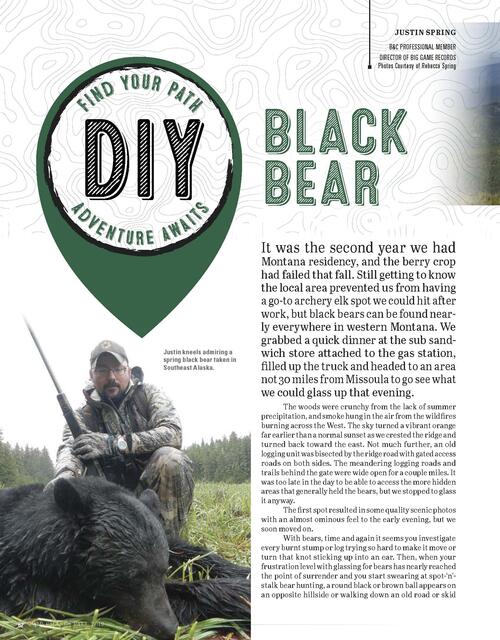 DIY Black Bear