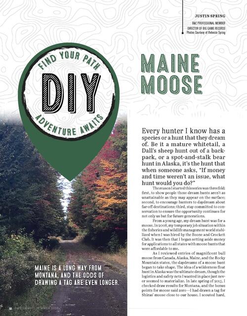 DIY Maine Moose