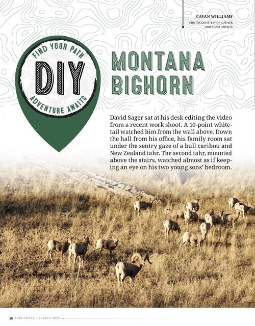 DIY Montana Bighorn