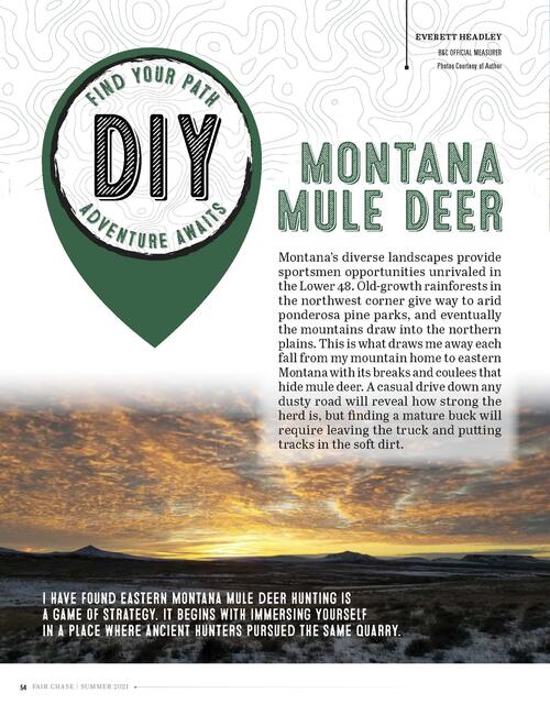 DIY Montana Mule deer