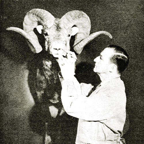 Lowell Baier and the Chadwick ram