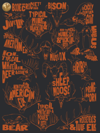 Skull Poster