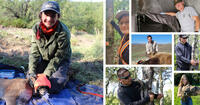 collage of university fellows