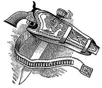 Guns for Conservation