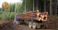 truck carrying lumber