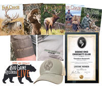 Lifetime Incentives