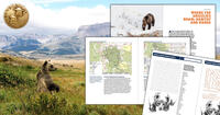 Grizzly bear book