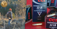 22 long rifle ammo and hunter