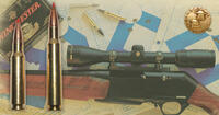 308 hunting rifle