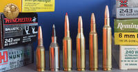 6mm hunting rounds